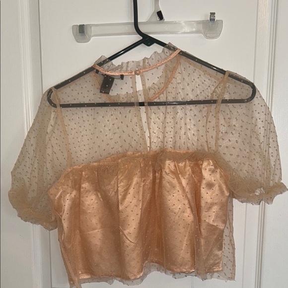 Sheer Pink Top - Picture 3 of 3